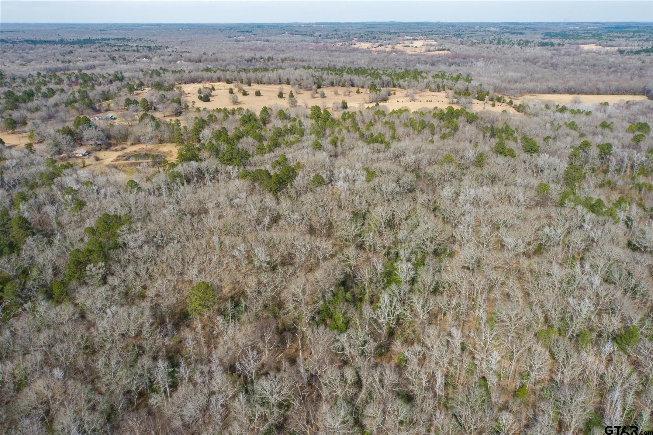 TBD County Road 4917 - Photo 4