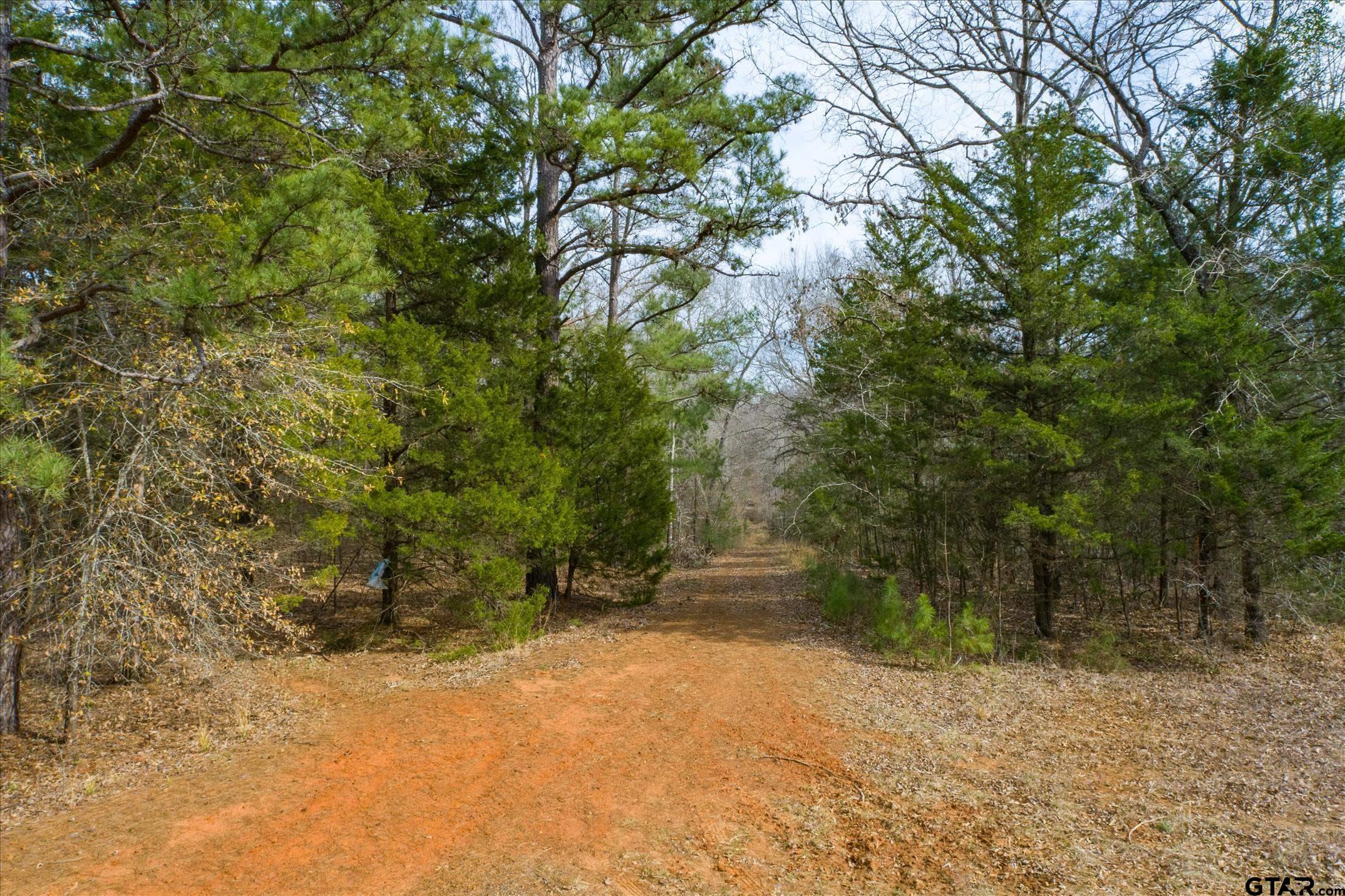 TBD County Road 4917 - Photo 2