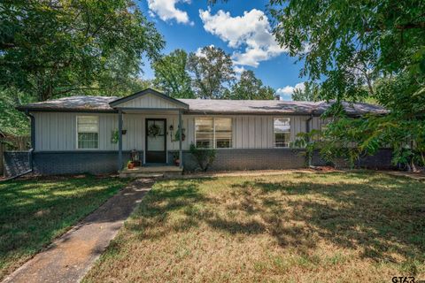 1511 Teachers Ridge Rd Diana TX 75640