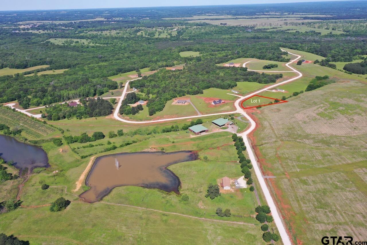 16604 Caeli Heights Ct Lot 1