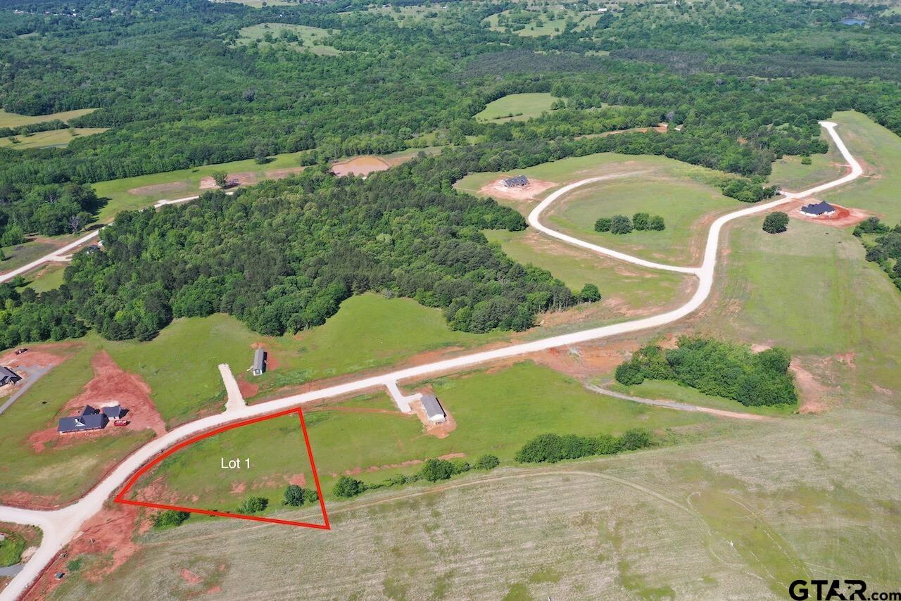 16604 Caeli Heights Ct Lot 1