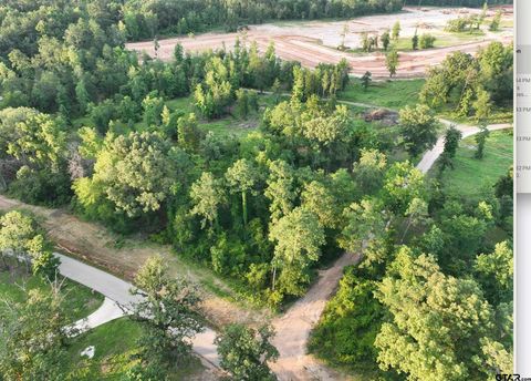 Lot 10 CR 2123 Whitehouse TX 75791