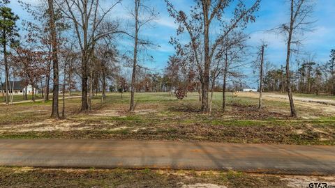 Lot 10 CR 2123 Whitehouse TX 75791