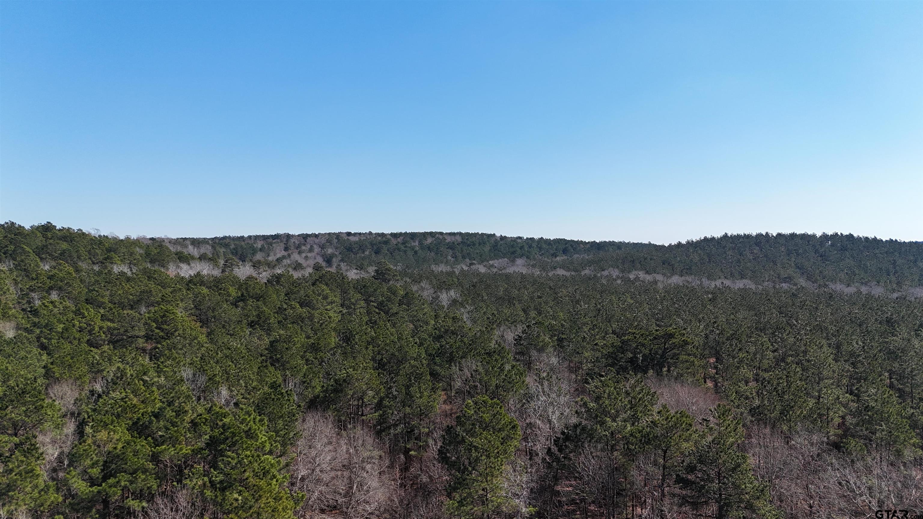 000 County Road 1717