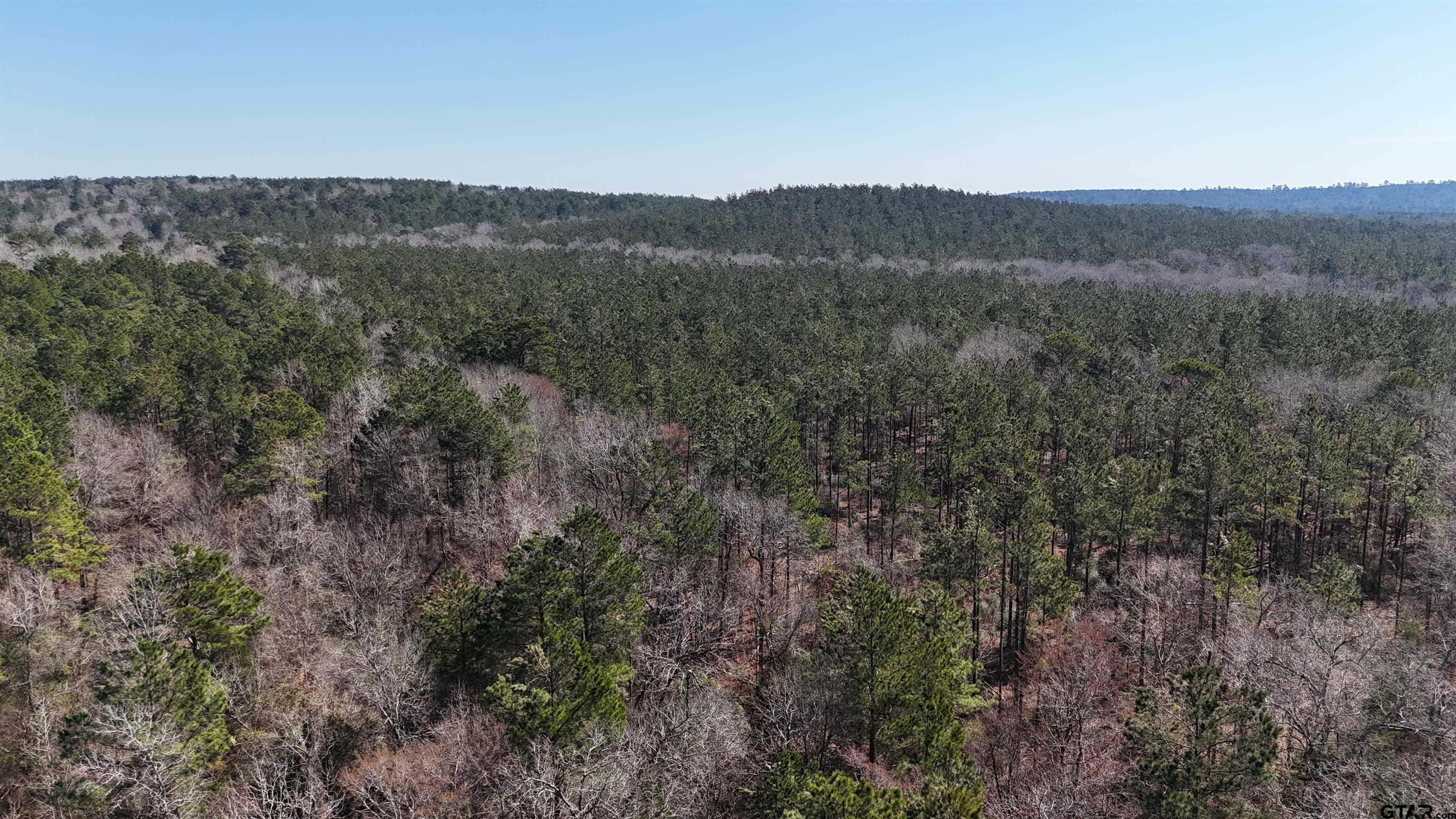 000 County Road 1717