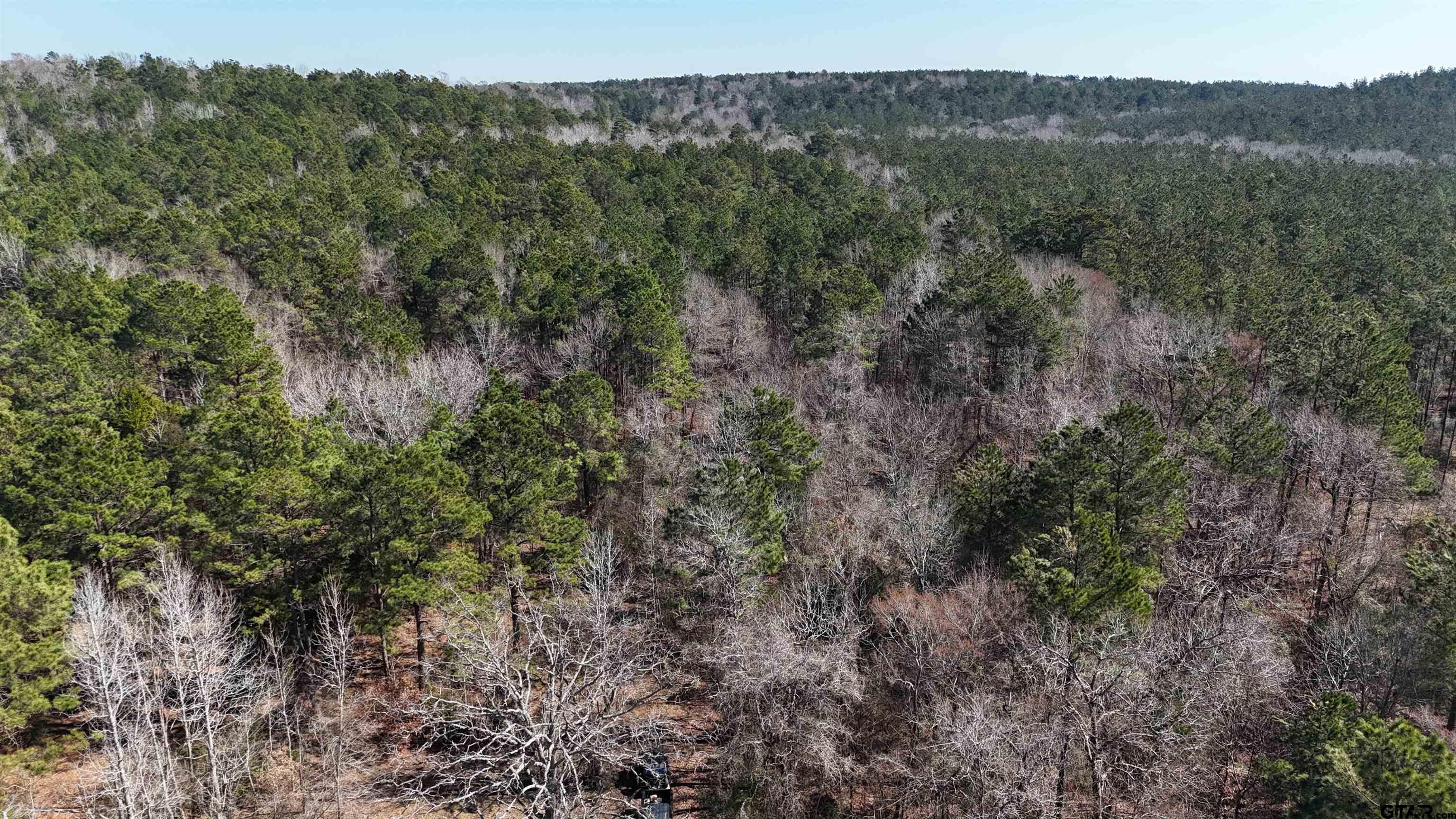 000 County Road 1717