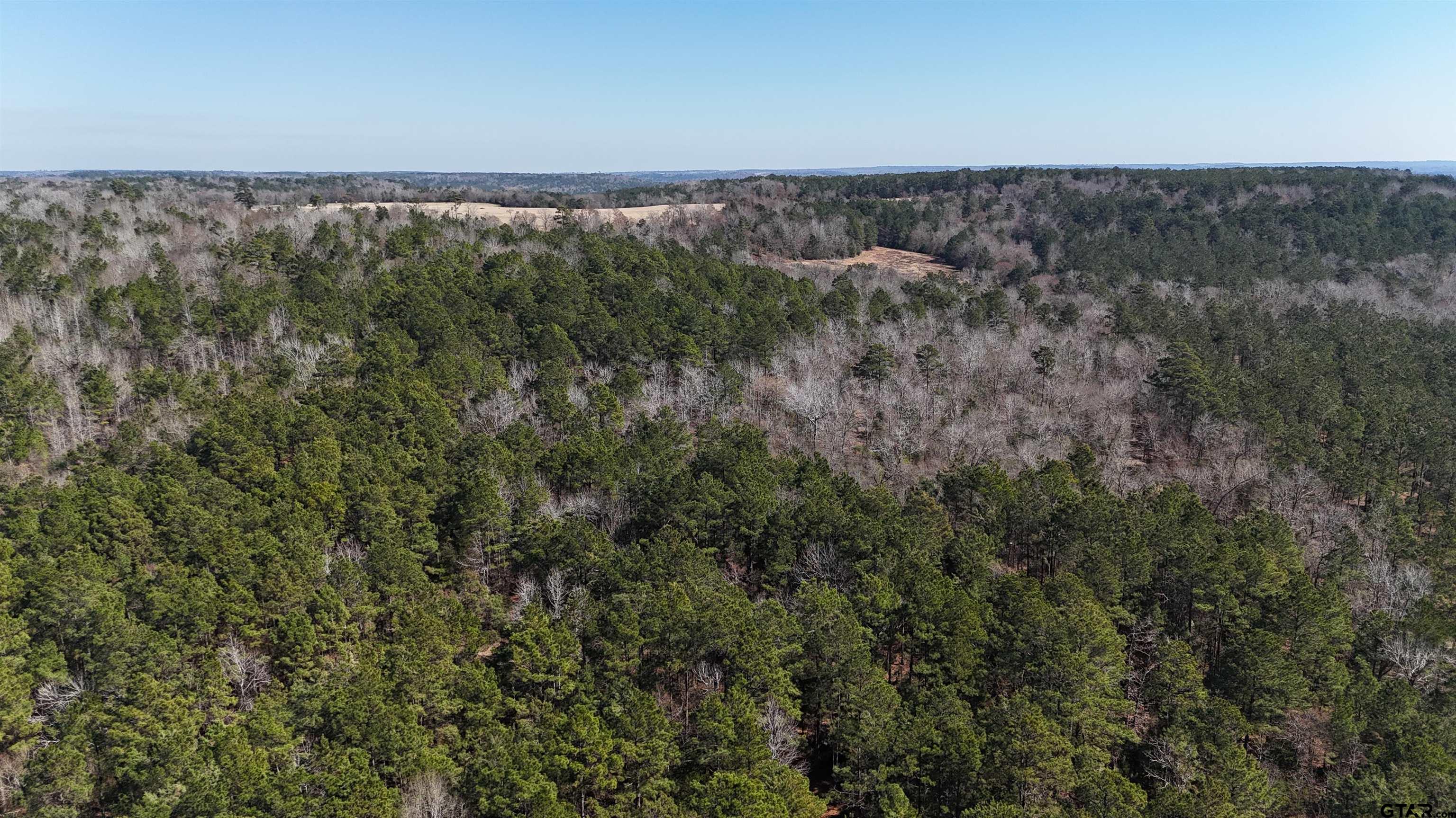 000 County Road 1717