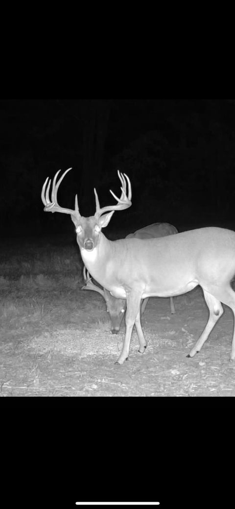 TBD CR 2738 Naples TX 75568