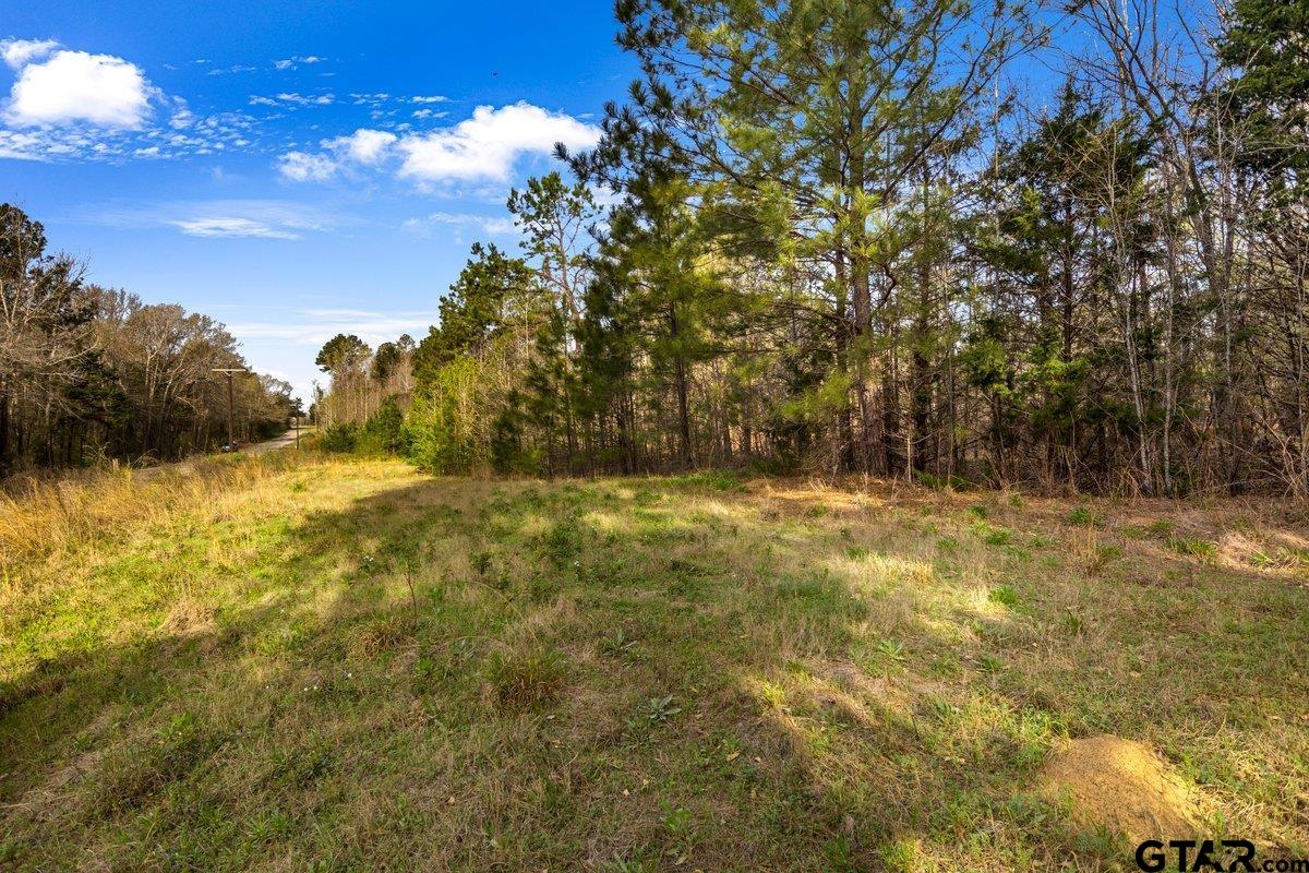 Troup, Texas 75789, United States, ,Land,Active,176879