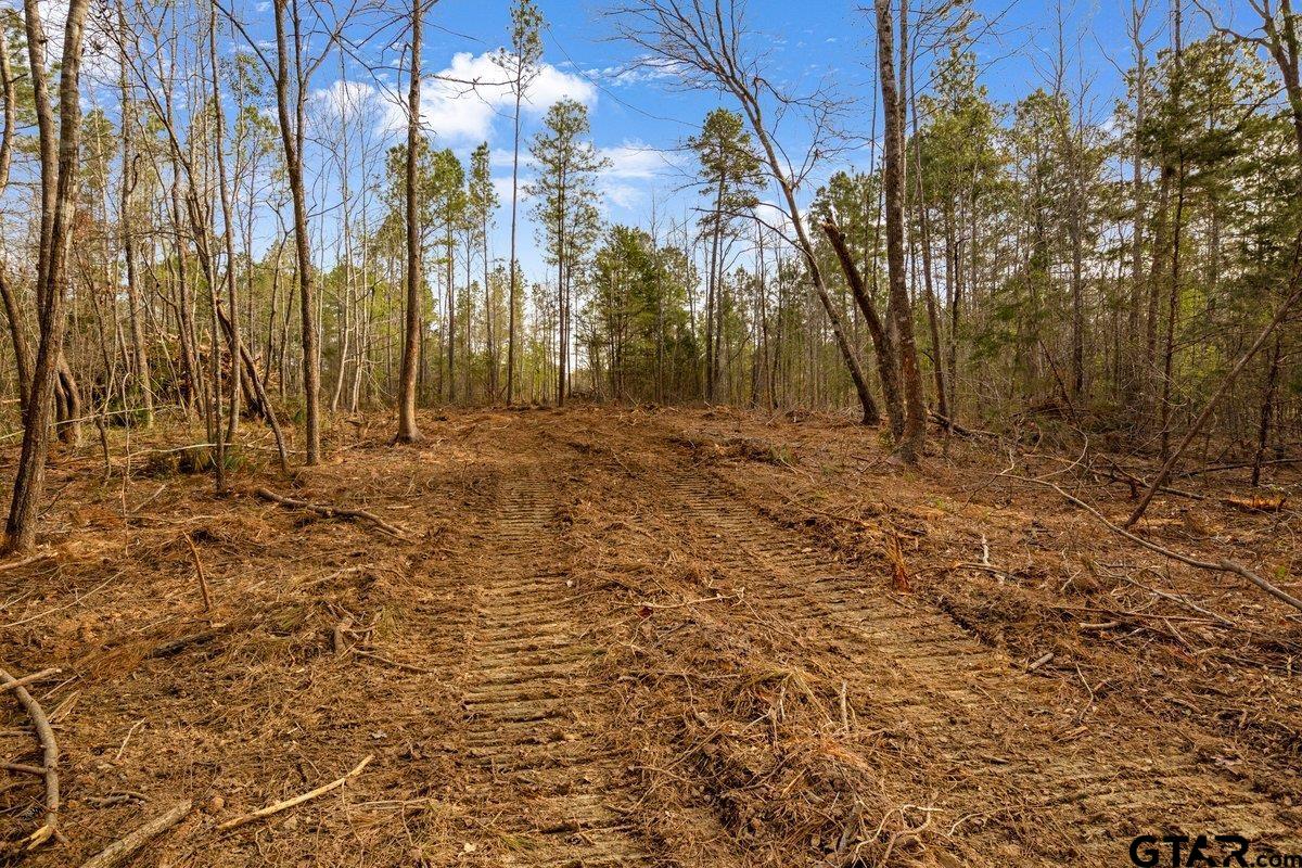 Troup, Texas 75789, United States, ,Land,Active,176879