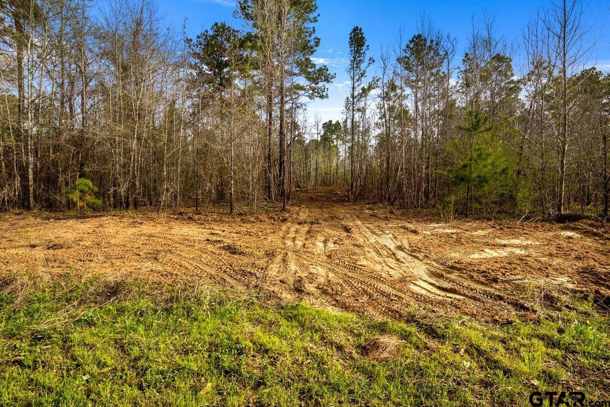 Troup, Texas 75789, United States, ,Land,Active,176879