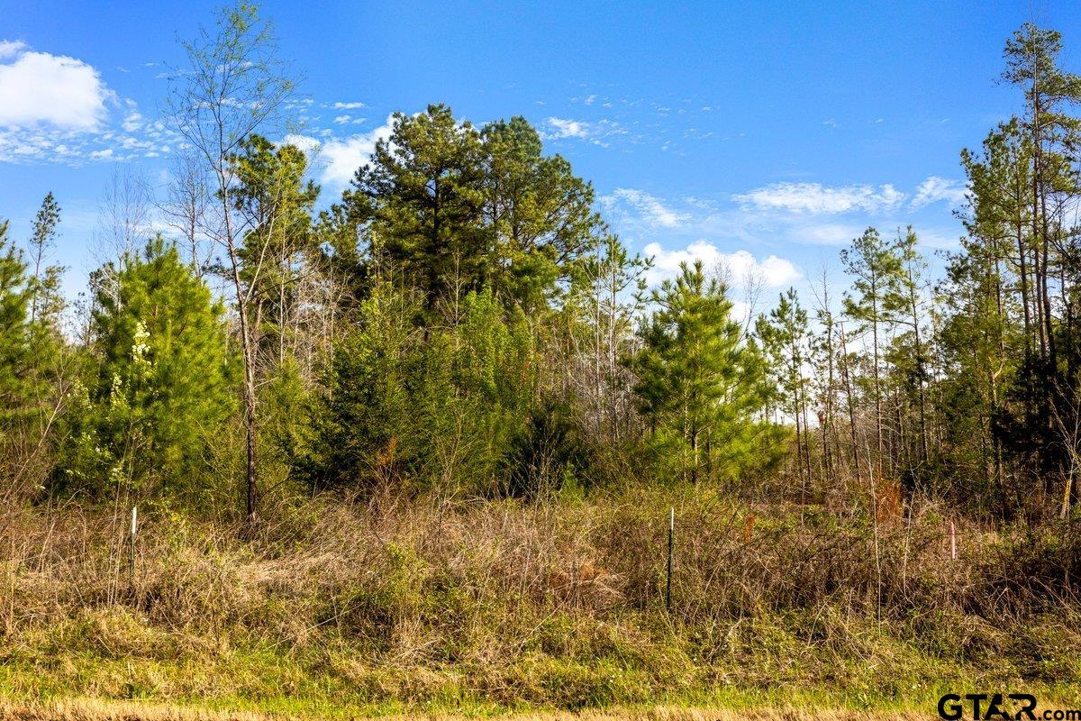 Troup, Texas 75789, United States, ,Land,Active,176879