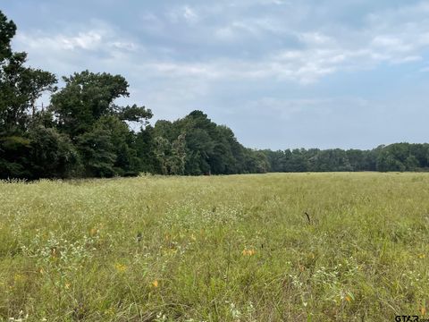 TBD ACR 336 Palestine TX 75801