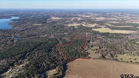 18727 County Road 2106 Arp TX 75750