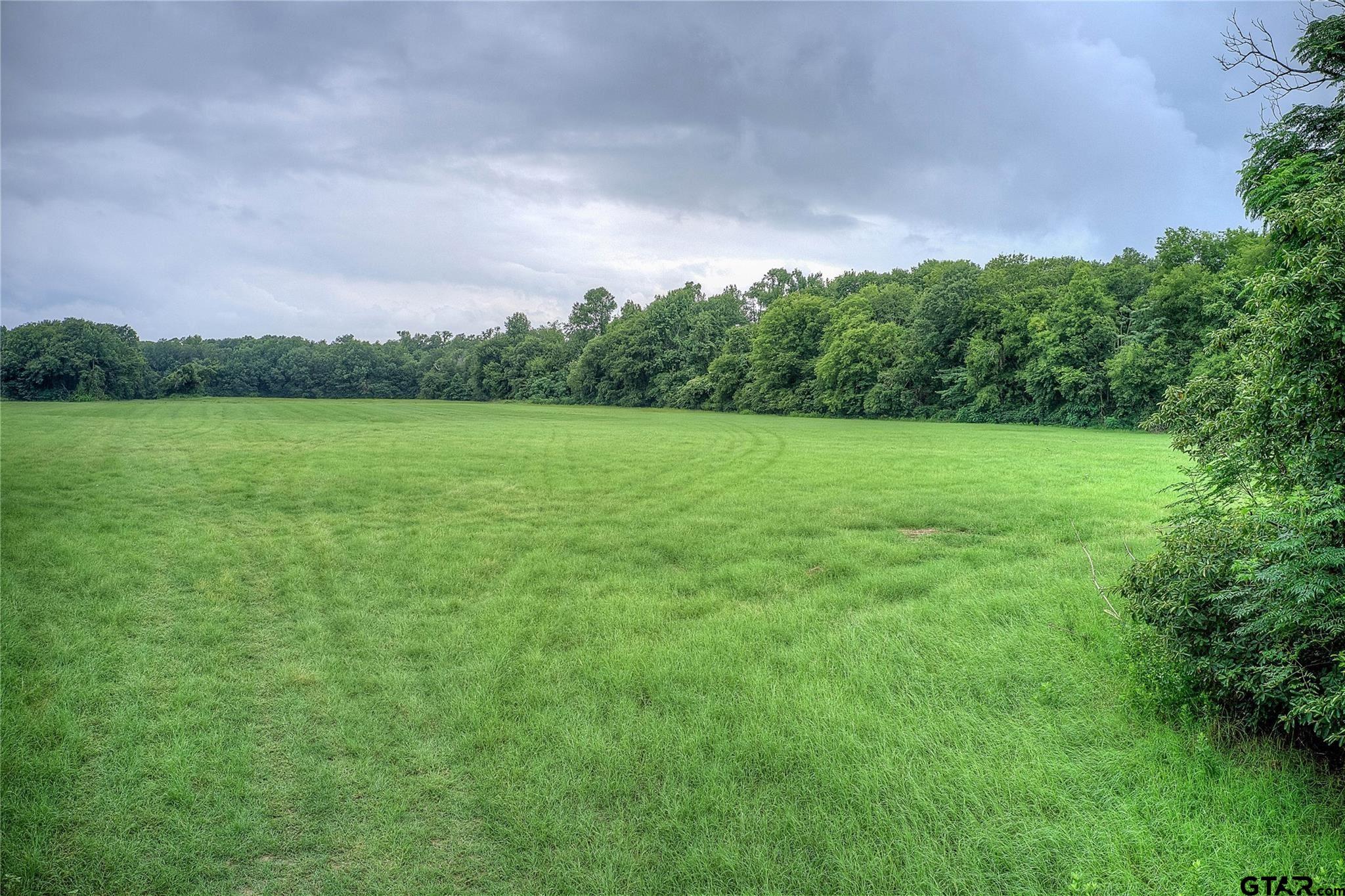 252 County Road 2431