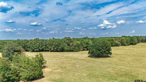 43 Acres FM 69 Quitman TX 75783