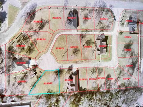 111 Palomita Cove Athens TX 75752