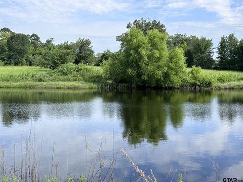 2092 FM 21 Pittsburg TX 75686