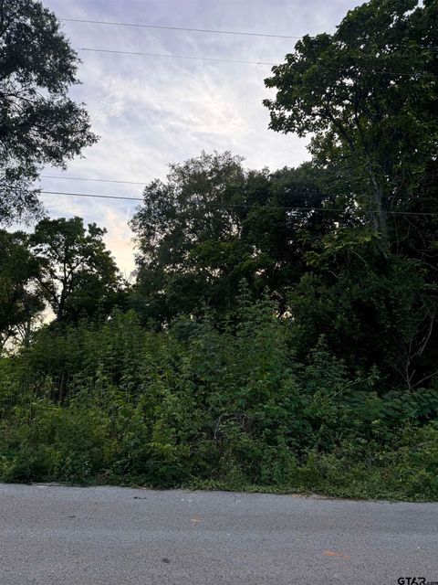 809 & 815 Boyd Ave Tyler TX 75701