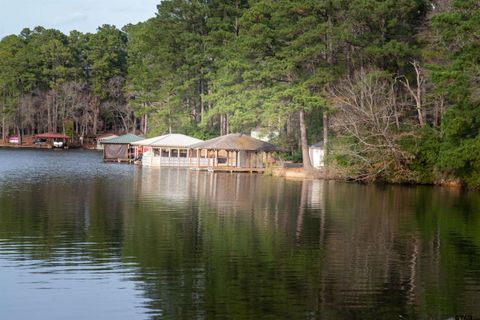 115 Raton Pass Holly Lake Ranch TX 75765