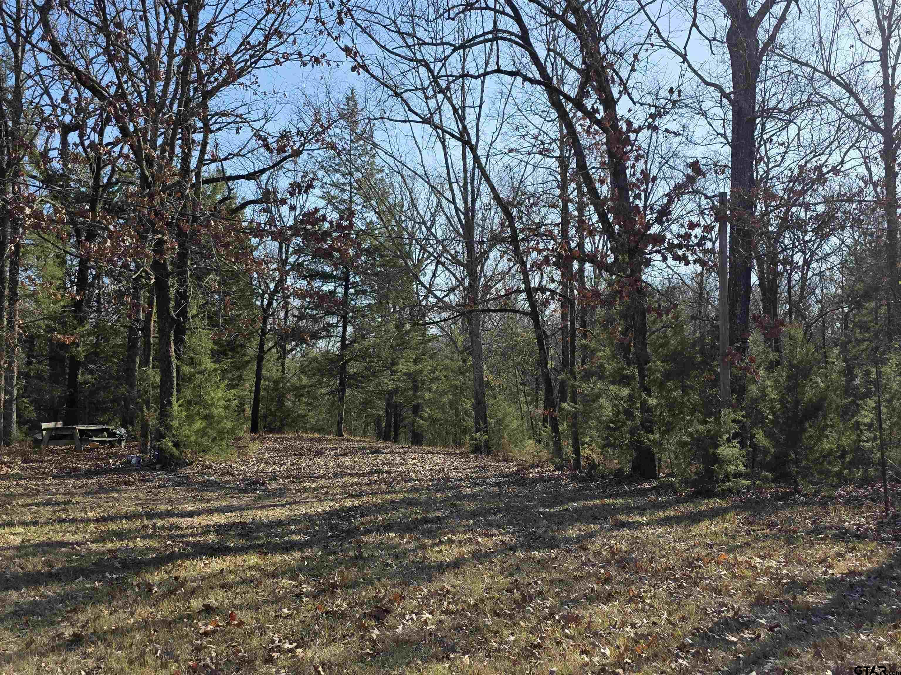 1191 County Road 3333