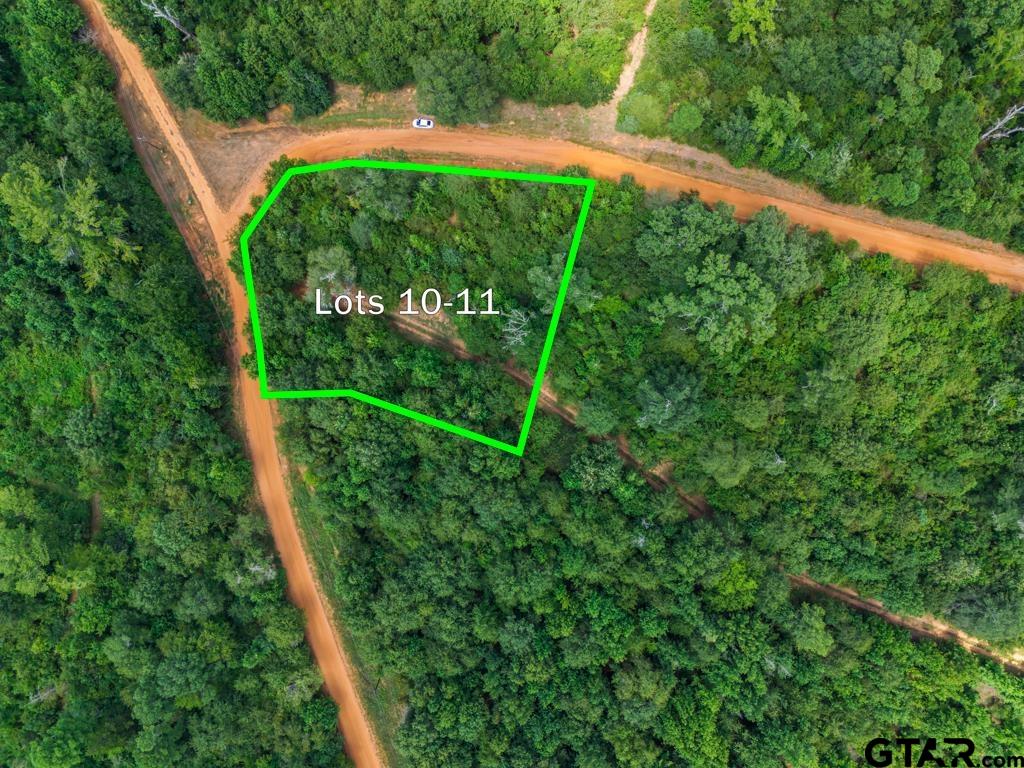 TBD Indian Mound lots 10 & 11