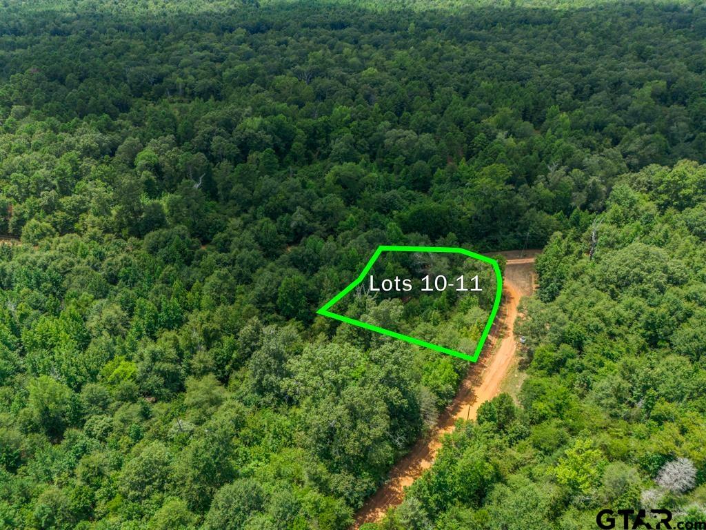 TBD Indian Mound lots 10 & 11