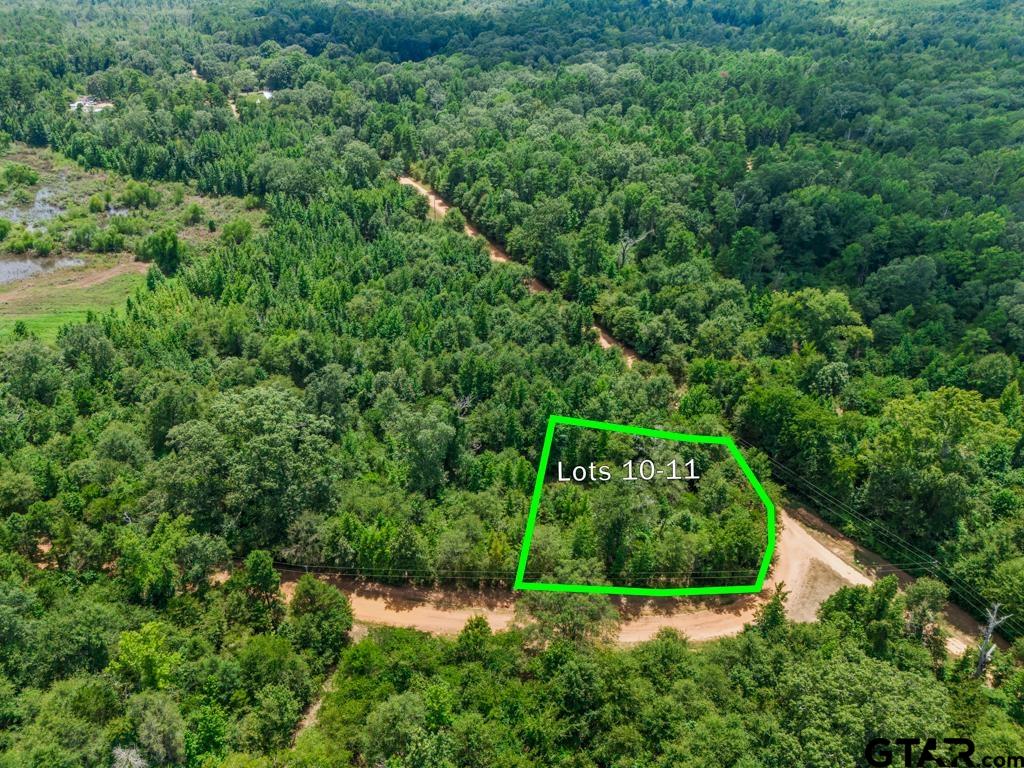 TBD Indian Mound lots 10 & 11