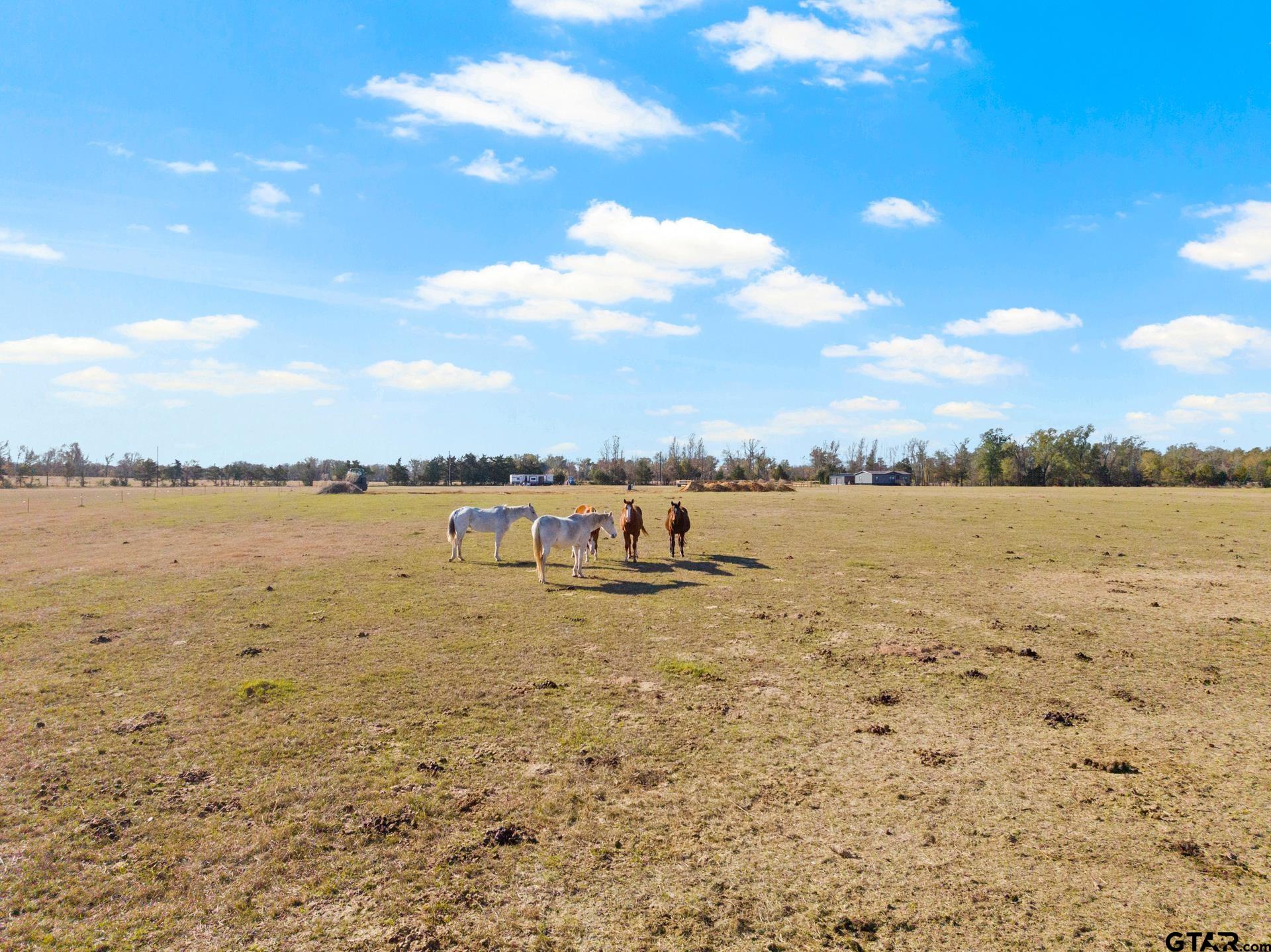 TBD County Road 4878