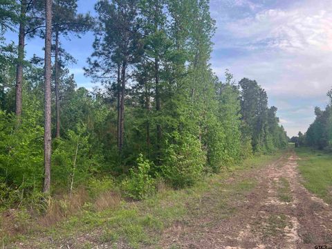 Tract 1 CR 477 Henderson TX 75654