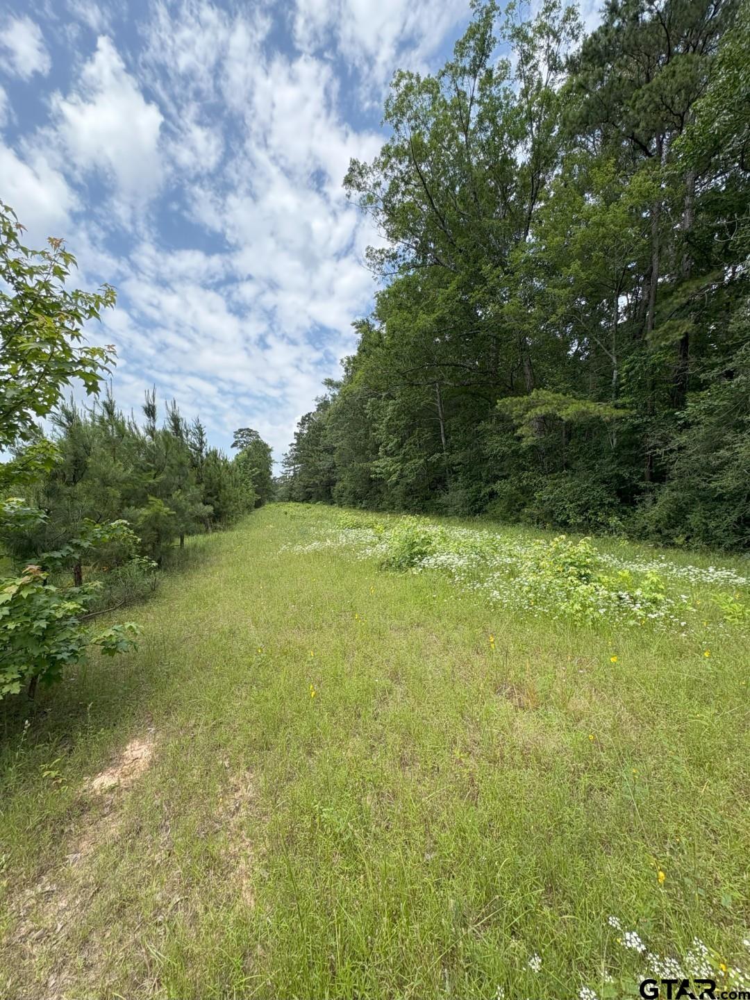 TBD County Road 425