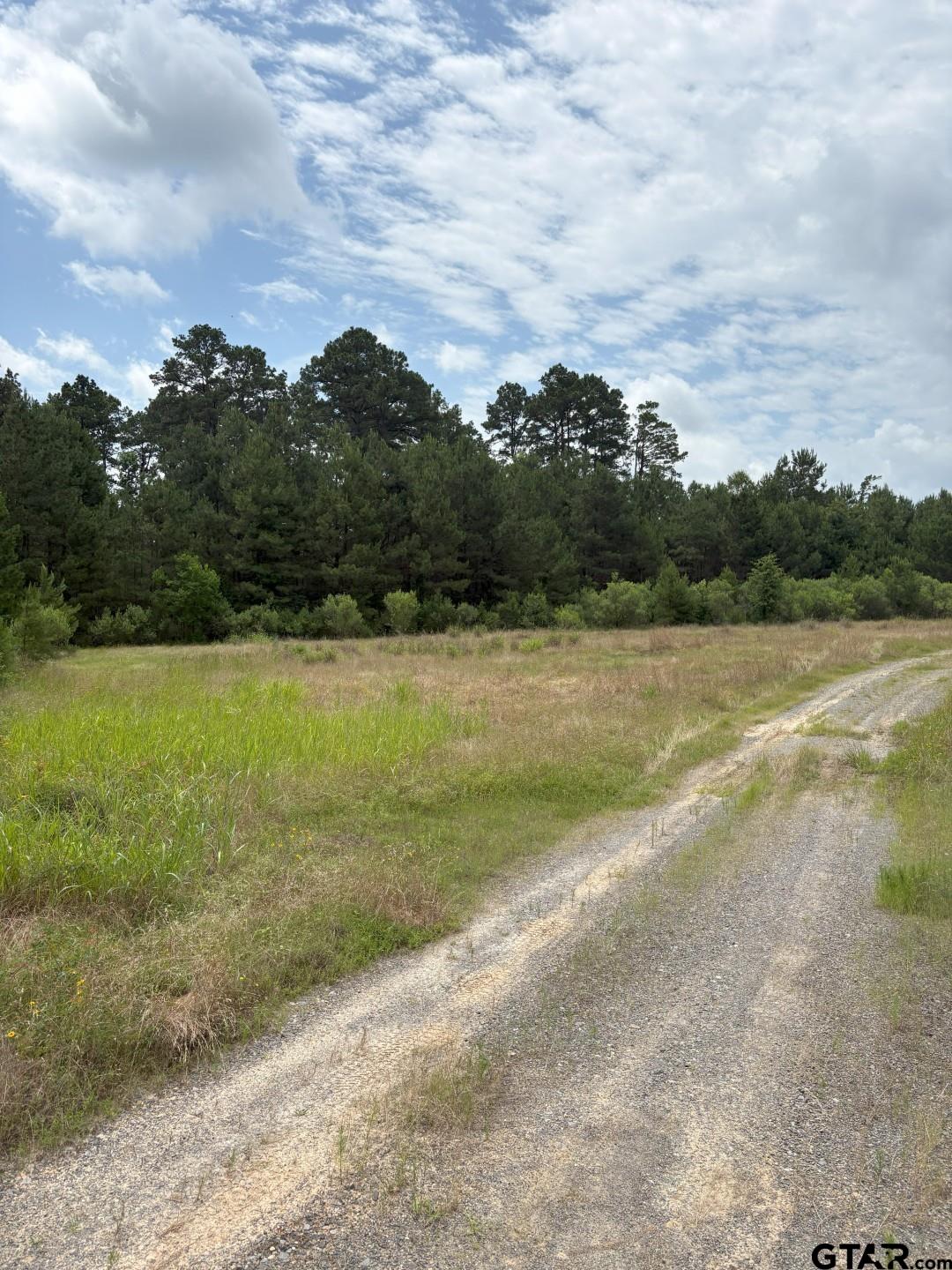 Photo 1 of 12 — TBD County Road 425, Tenaha, TX 75974