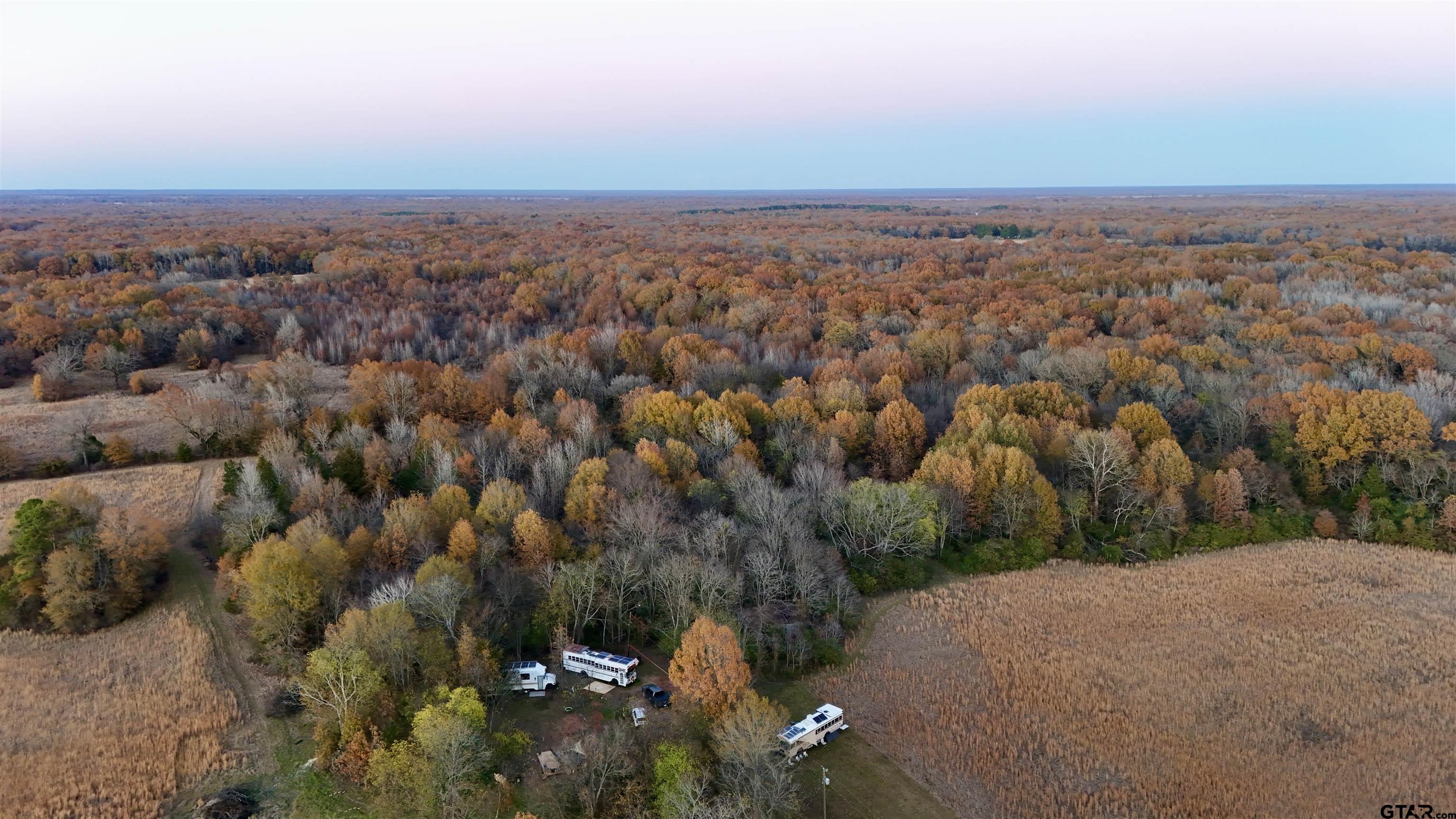 3235 County Rd 3365
