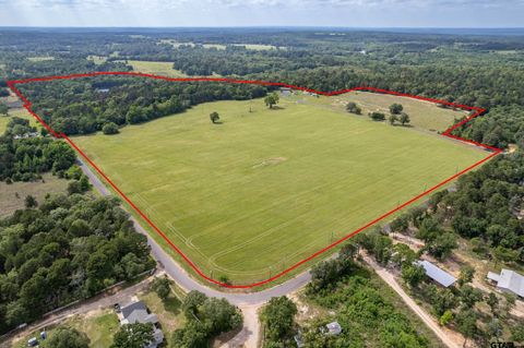 16437 CR 3147 Tyler TX 75706