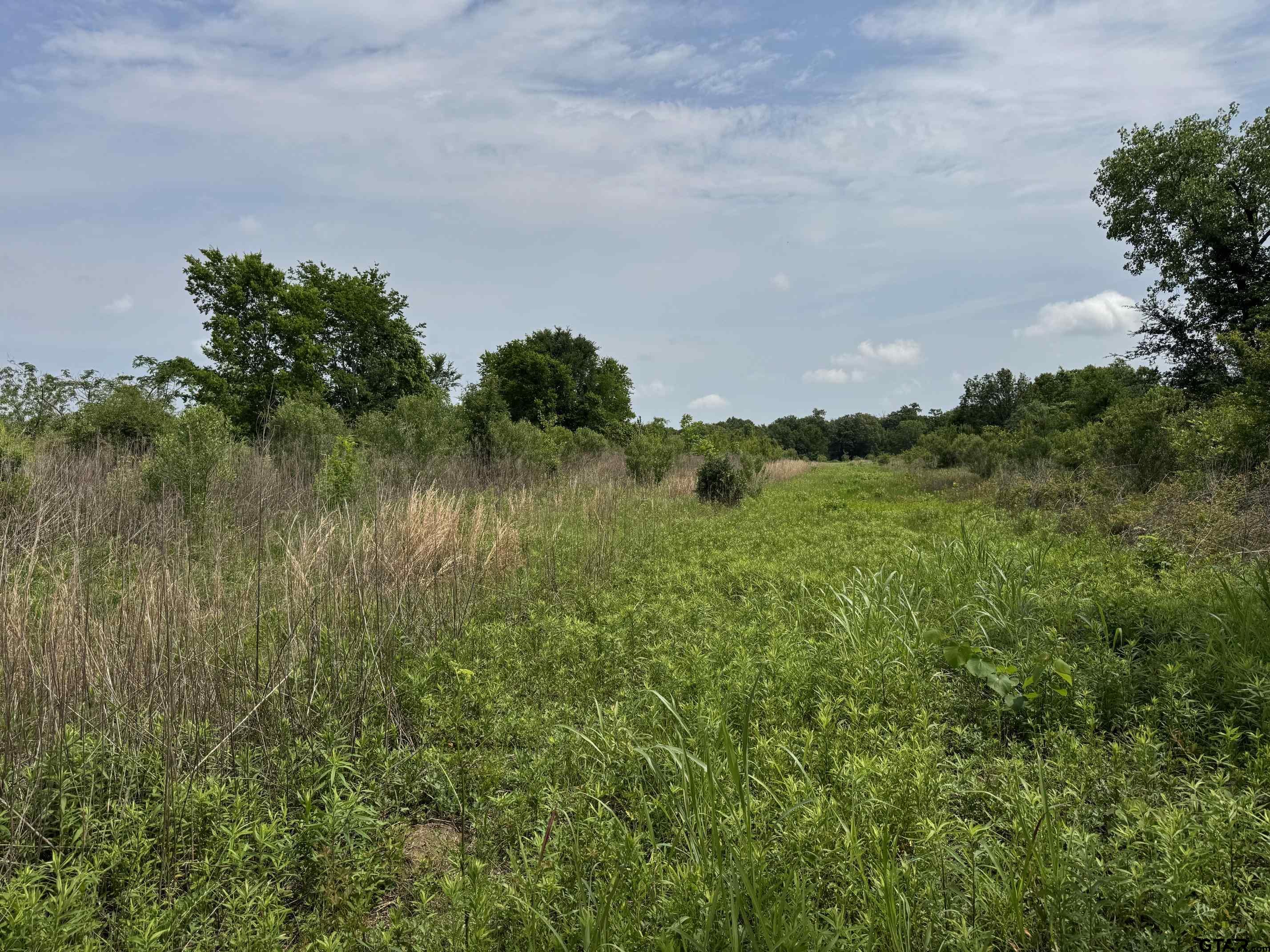 TBD S US Highway 287