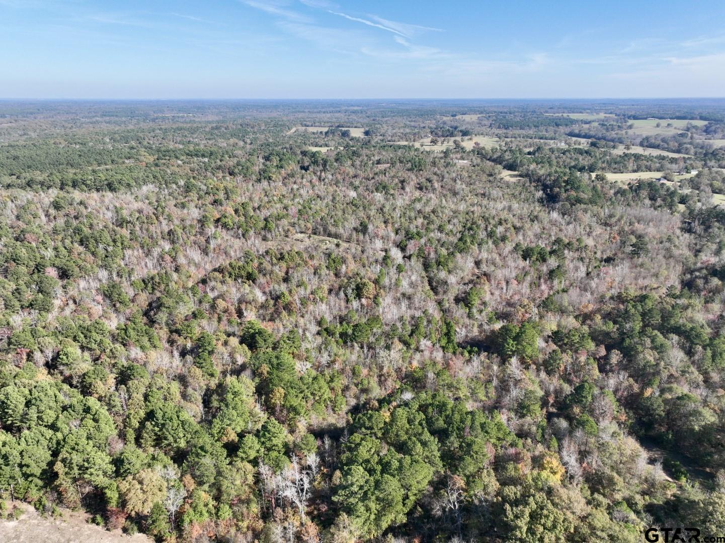 21695 County Rd 240