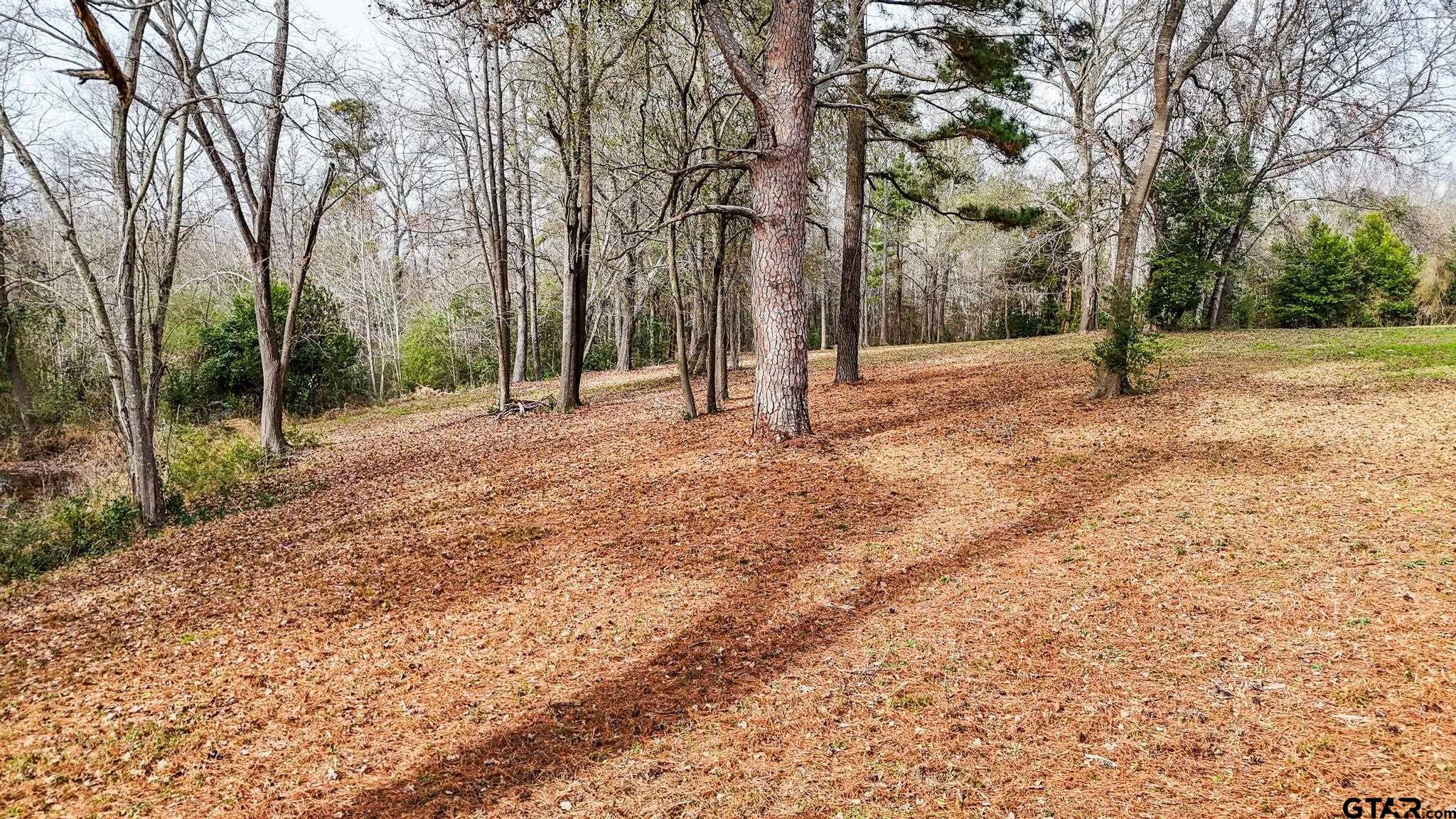TBD Castleberry Rd (Lot 3)