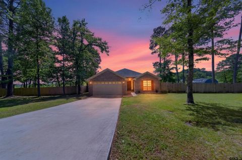 17171 Mary Martin Drive Flint TX 75762