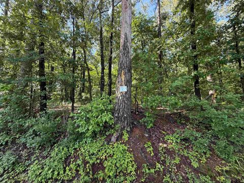 TBD CR 4194 Tr-3 Henderson TX 75654