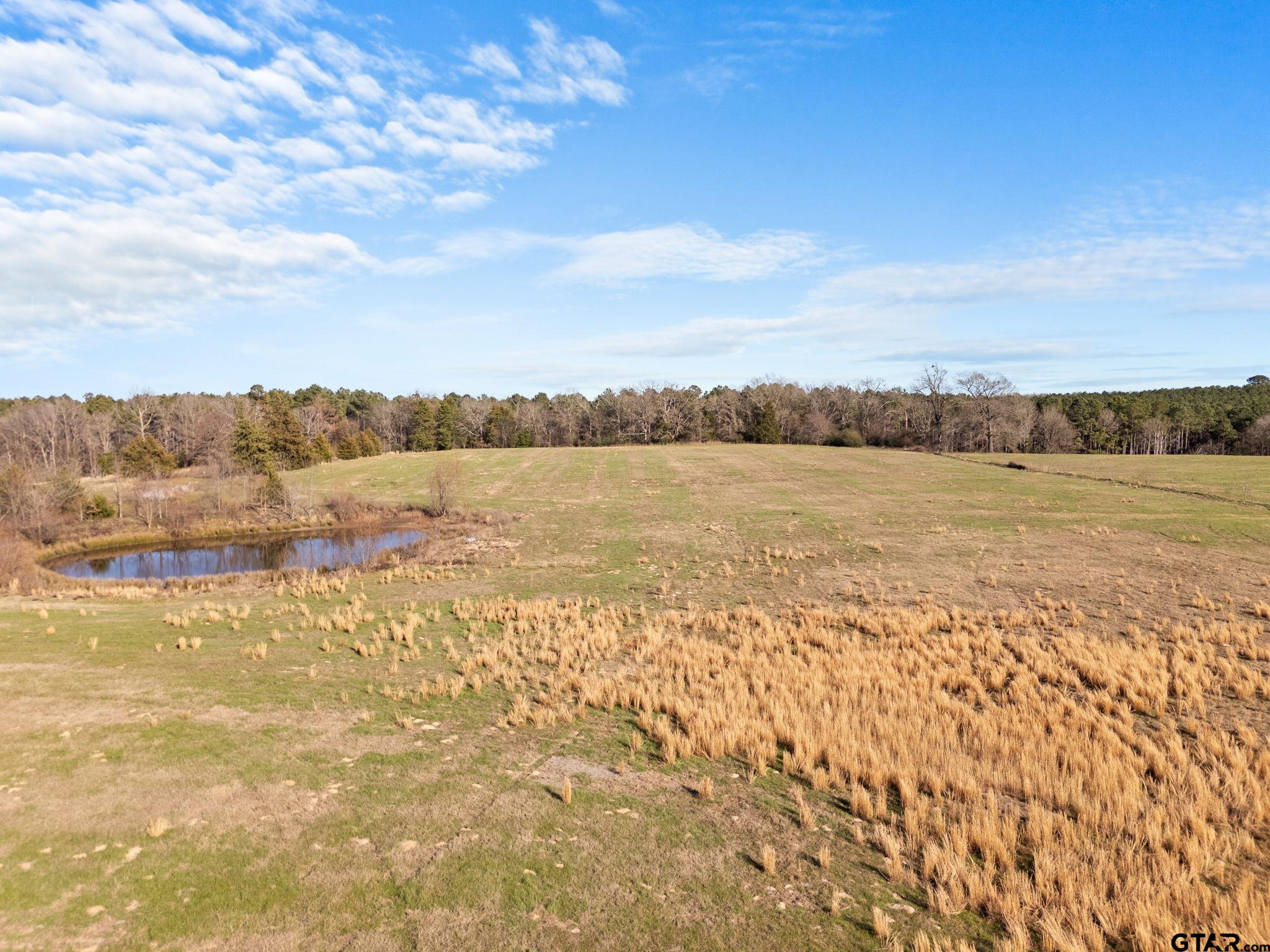 TBD CR 4230 (38.14 Acres)