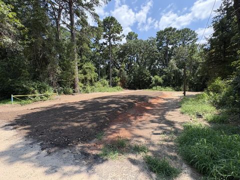 161 Kirk Ln Bullard TX 75757