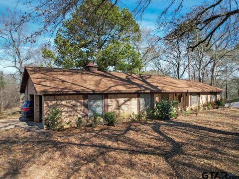 564 County Road 1100 Daingerfield TX 75638