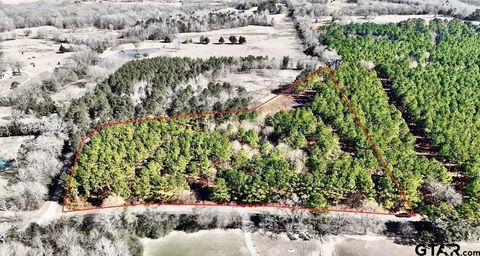 TBD CR 2138 Troup TX 75789