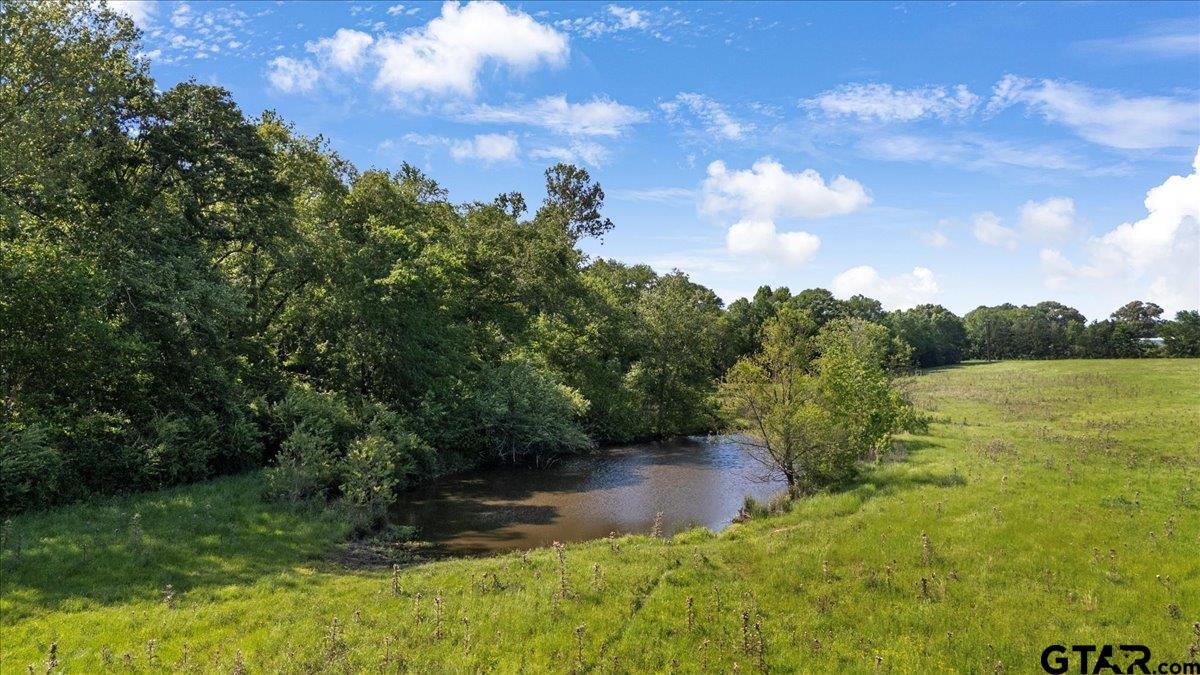 335 COUNTY ROAD 4802 & Hwy 110