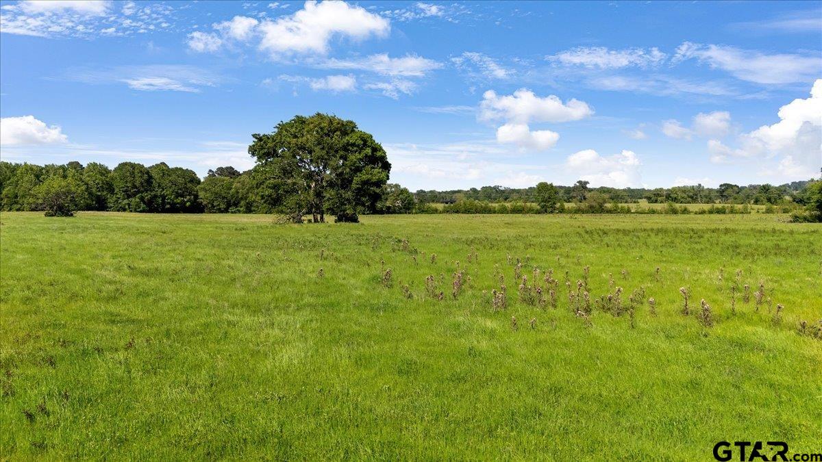 335 COUNTY ROAD 4802 & Hwy 110