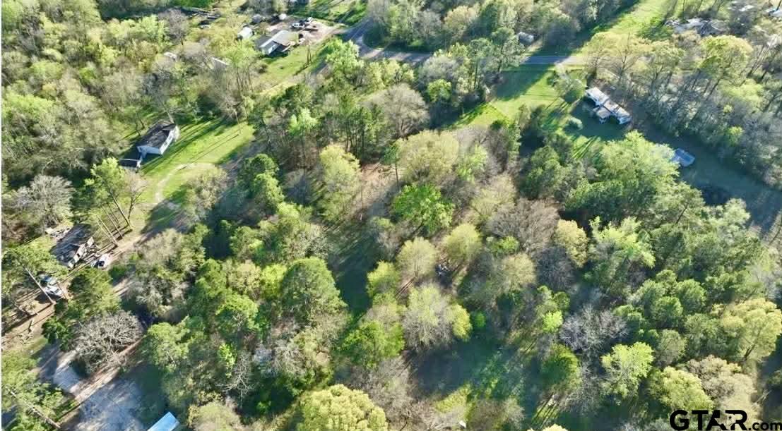 10933 County Road 384