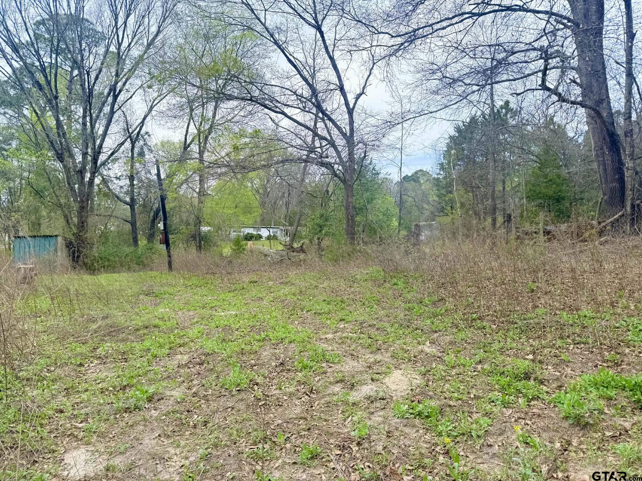 10933 County Road 384