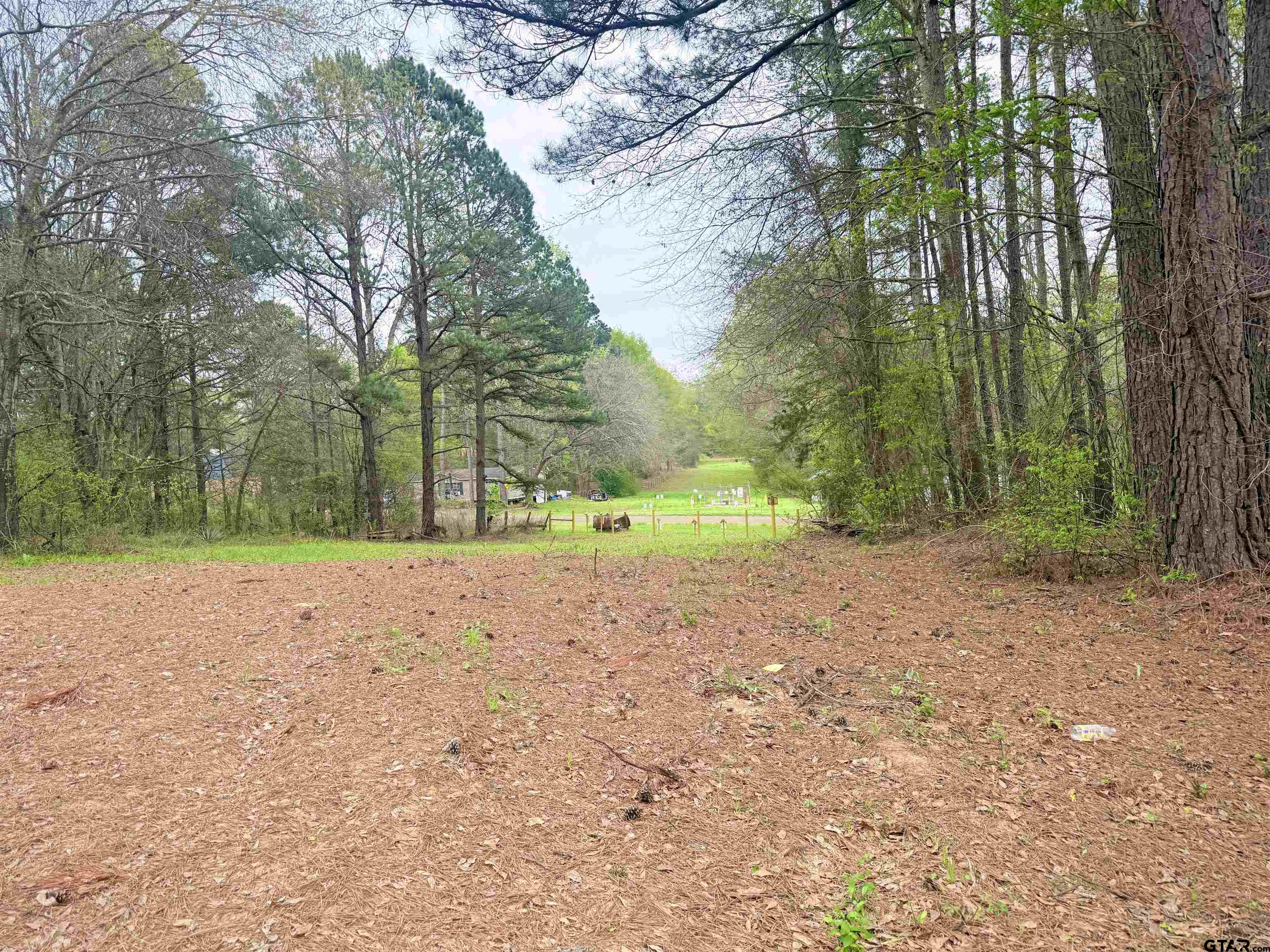 10933 County Road 384