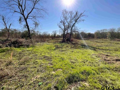 21746 CR 2138 Troup TX 75789