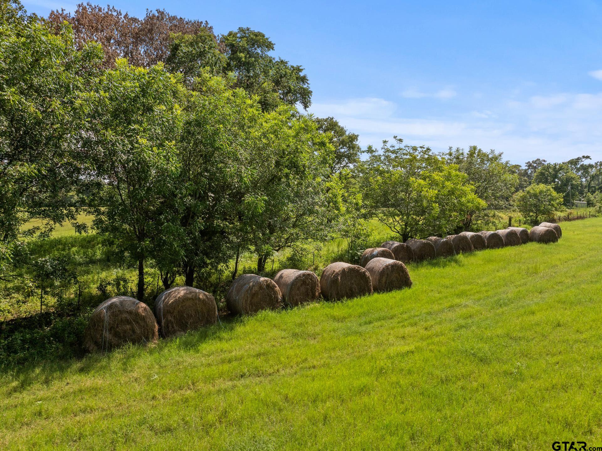 TBD County Road 2590